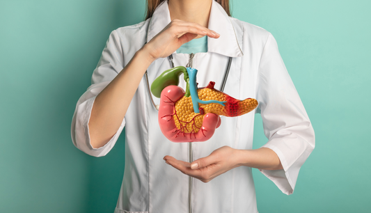 The silent multitasker: Why your Pancreas deserves more attention